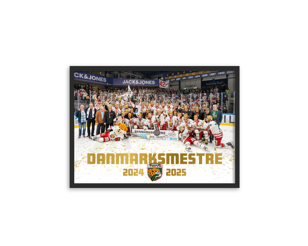 DANSKE MESTRE 2025 PLAKAT
